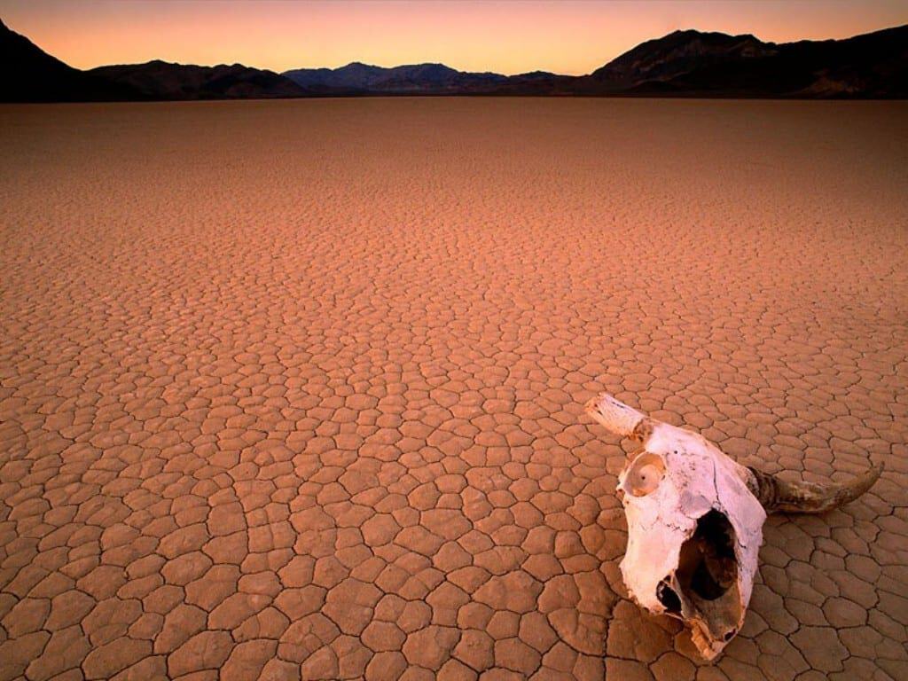 Effetto Serra benigno