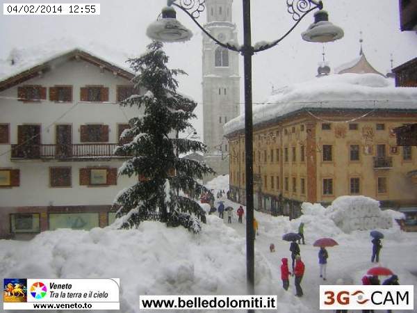 Neve vendesi
