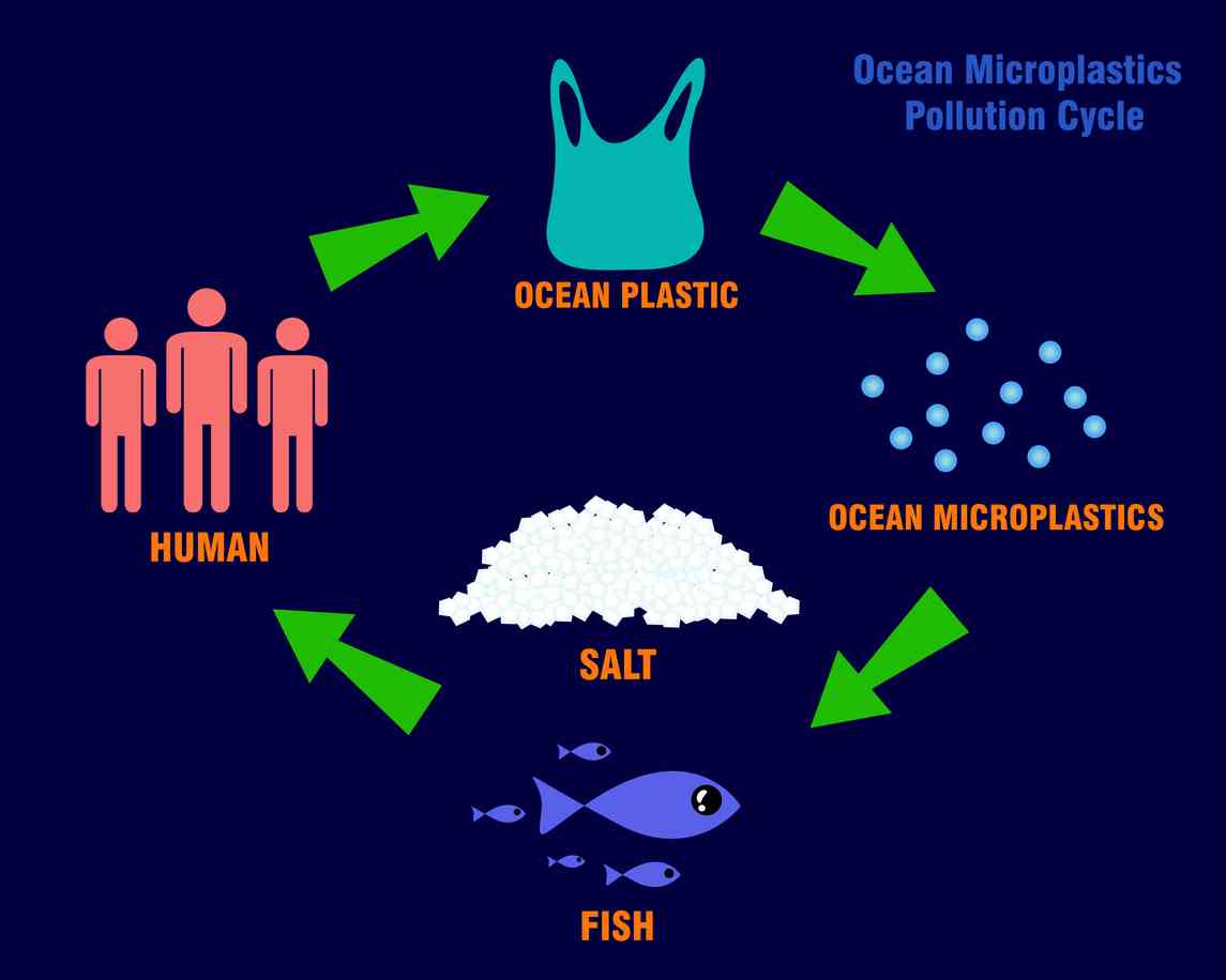 Microplastiche: indirettamente nei nostri corpi