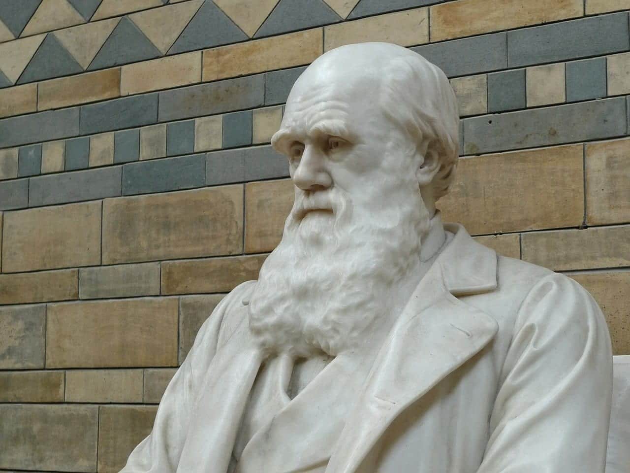 Evoluzione: cosa c’è di concreto in tutto questo?