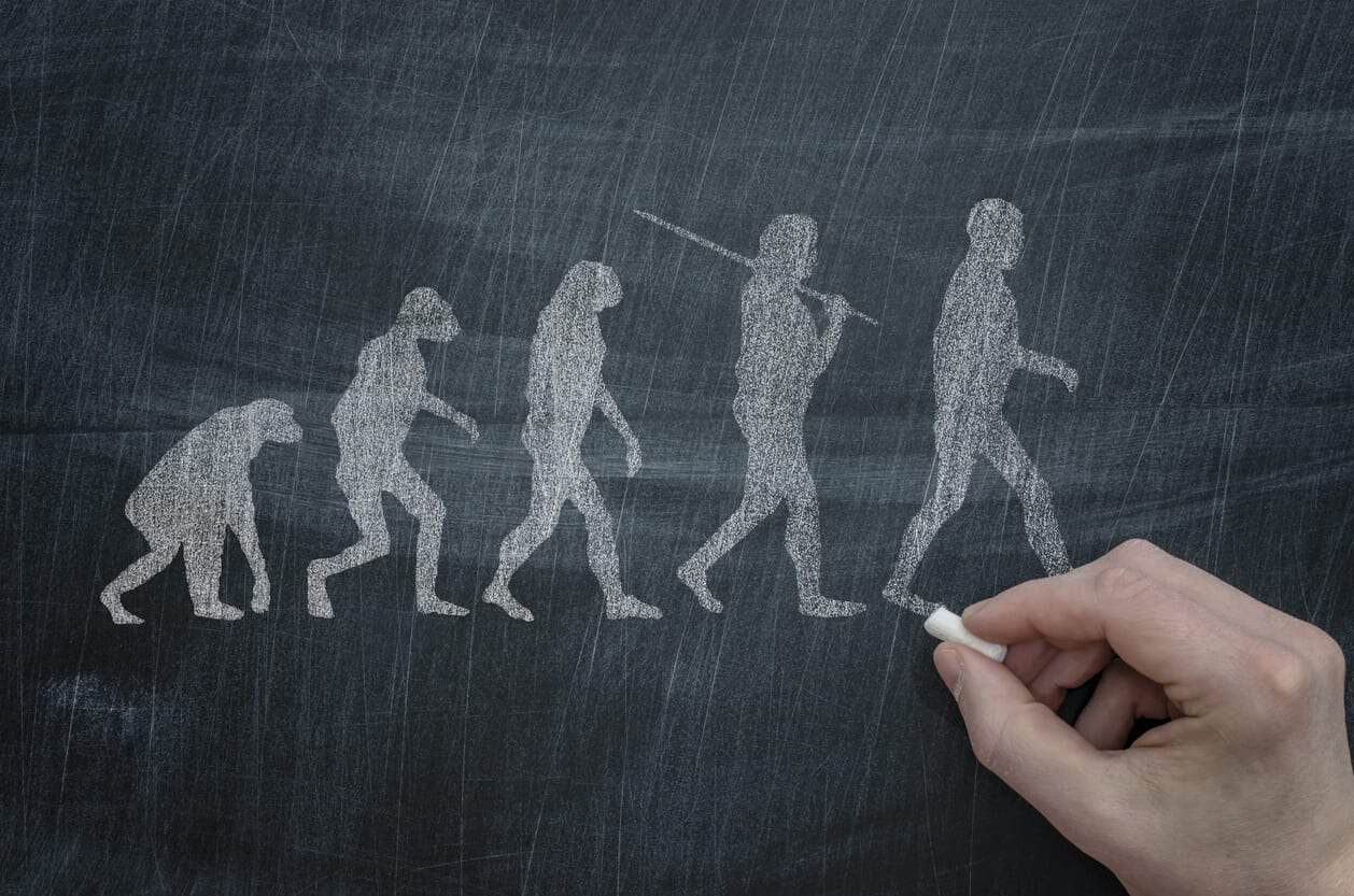 La selezione naturale: cosa dice Darwin, cosa capiamo noi