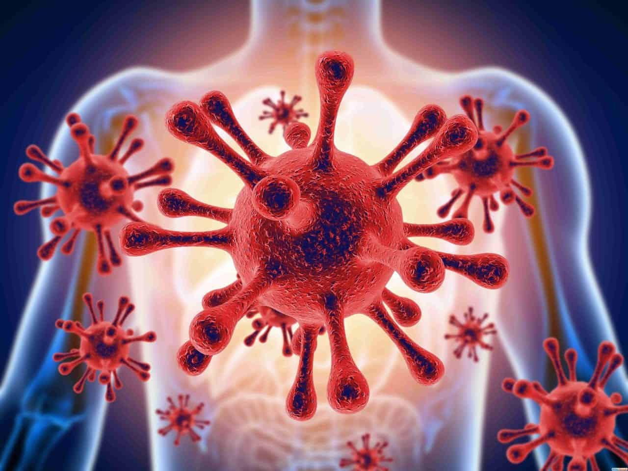 Donne più protette dal coronavirus? Legami con lo stile di vita e non solo