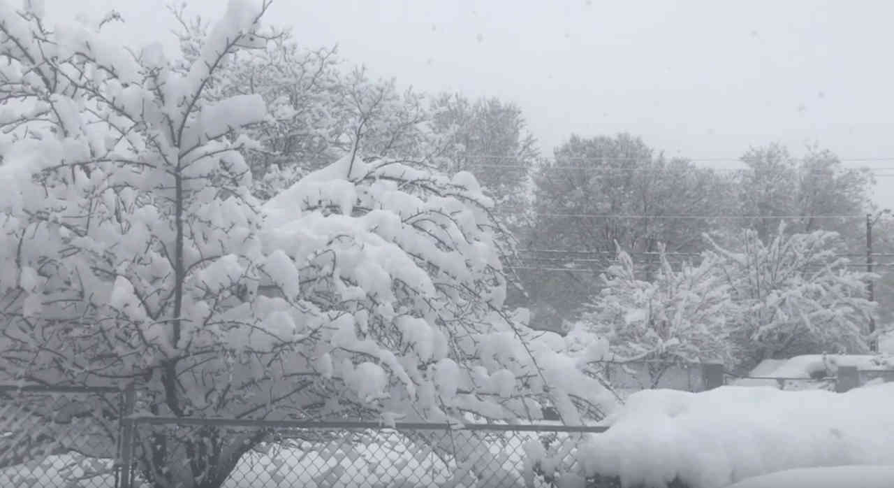 Rilassiamoci con questa bella NEVICATA canadese