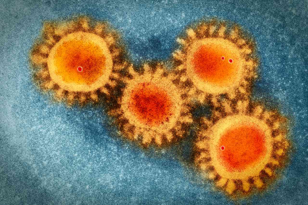 Coronavirus, non è questa la vera fase due
