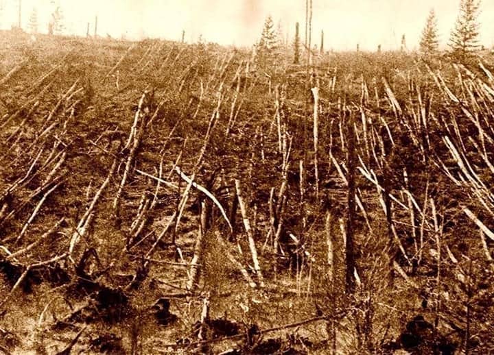 meteorite Tunguska foresta rasa al suolo