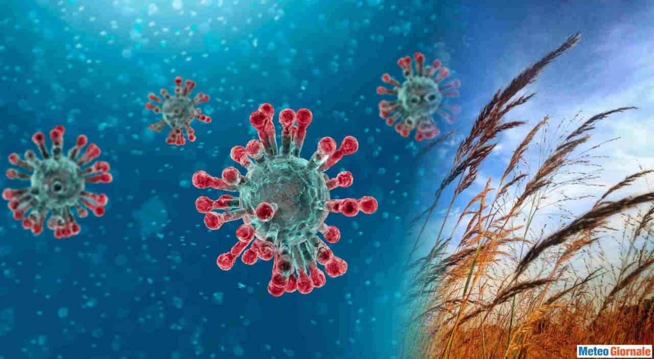 METEO e CORONAVIRUS: in caso di vento ecco quali rischi corriamo
