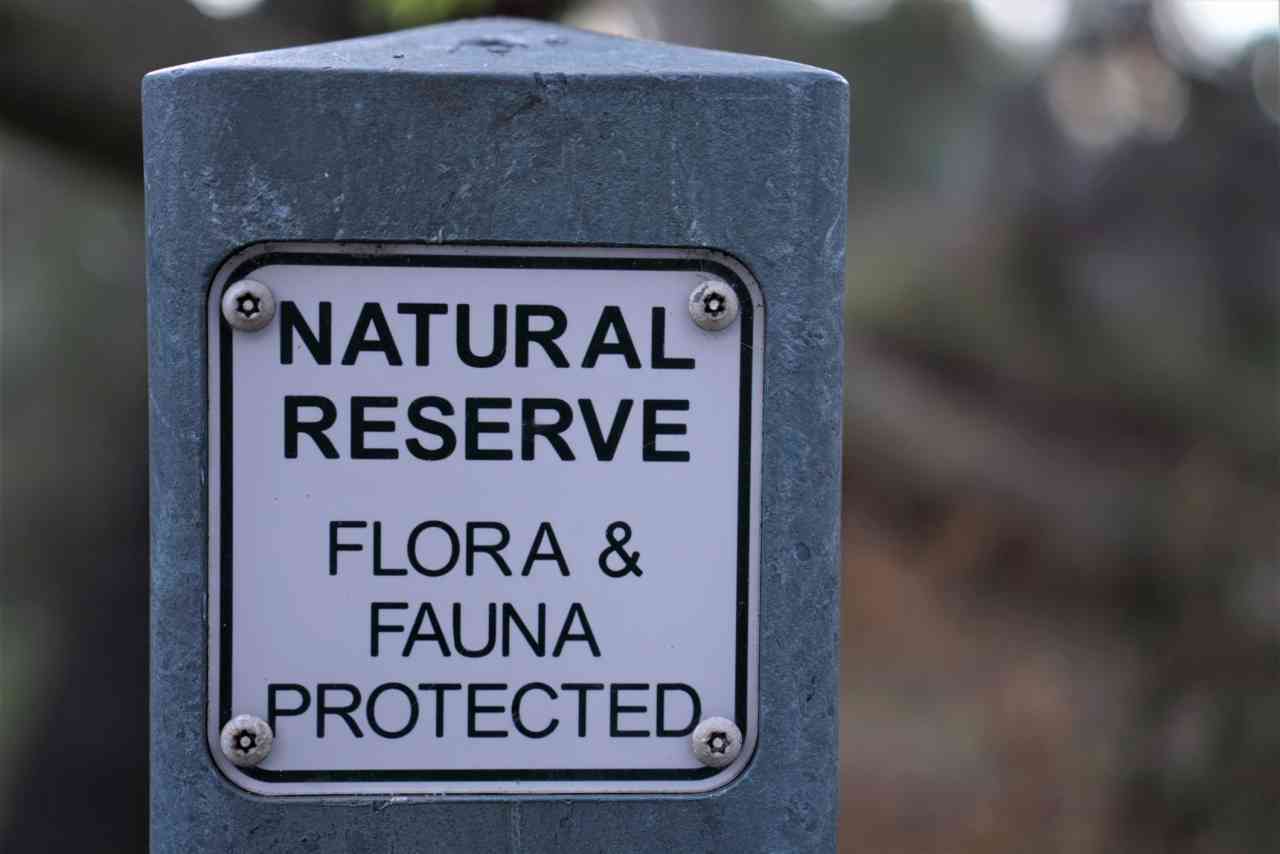 Invasione di nuove specie per effetto del Cambiamento del Clima