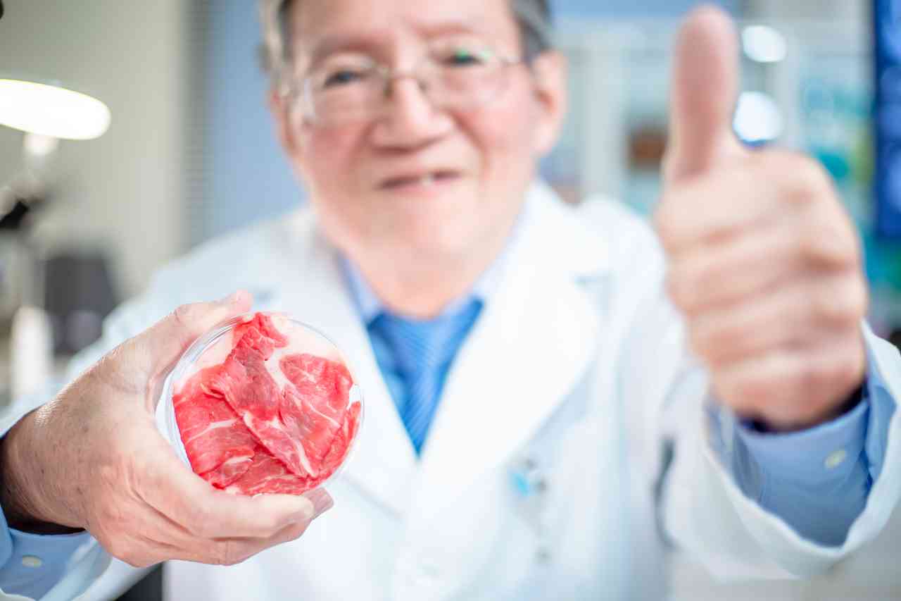 Carne sintetica: più dannosa degli allevamenti tradizionali