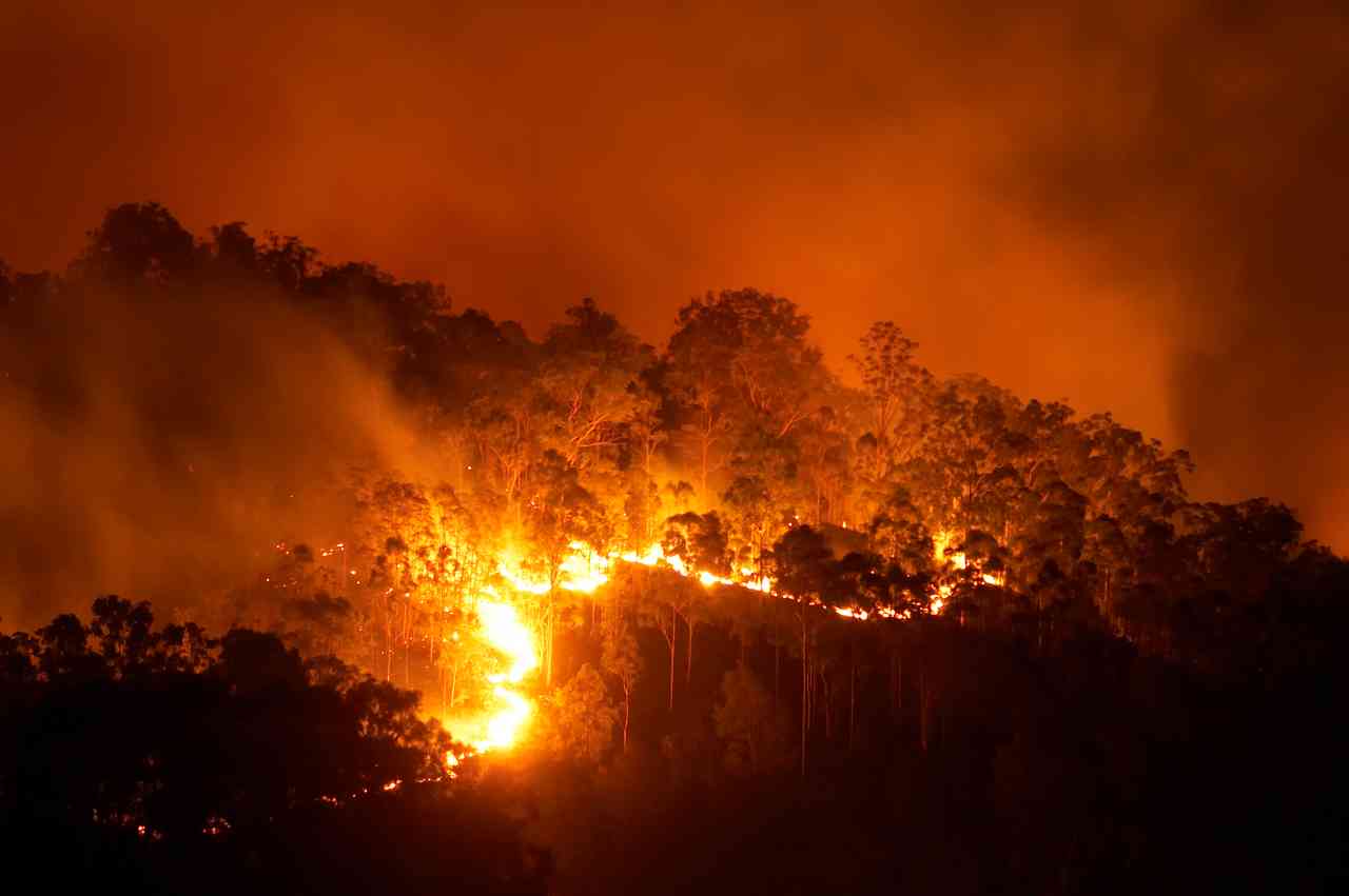Ambiente: incendi nascosti bruciano ancora l’Artico. Nuovo disastro annunciato