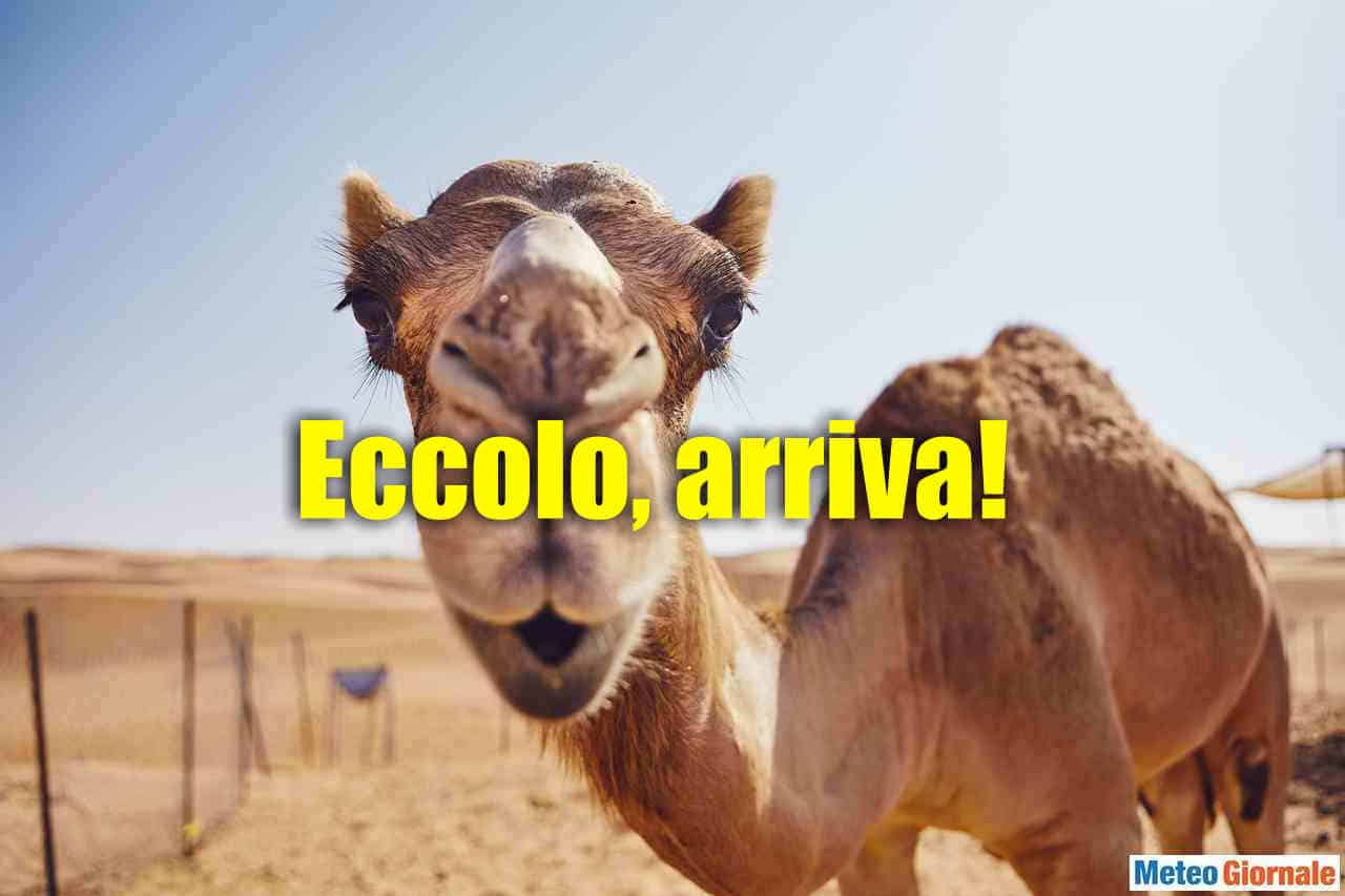 Siamo in una settimana di Caldo INFERNALE, poi anche PEGGIO