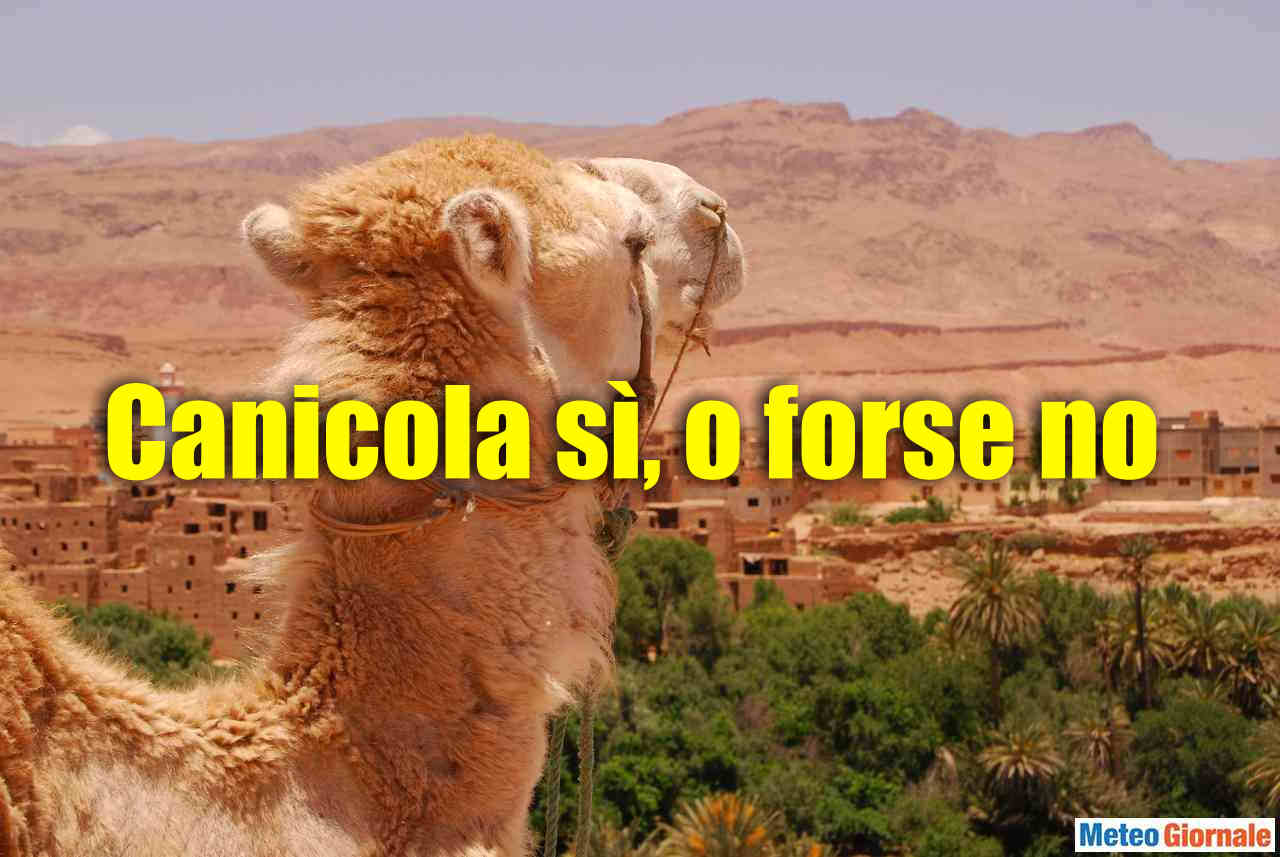 CANICOLA sì, o forse no. Ecco cosa ci aspetta