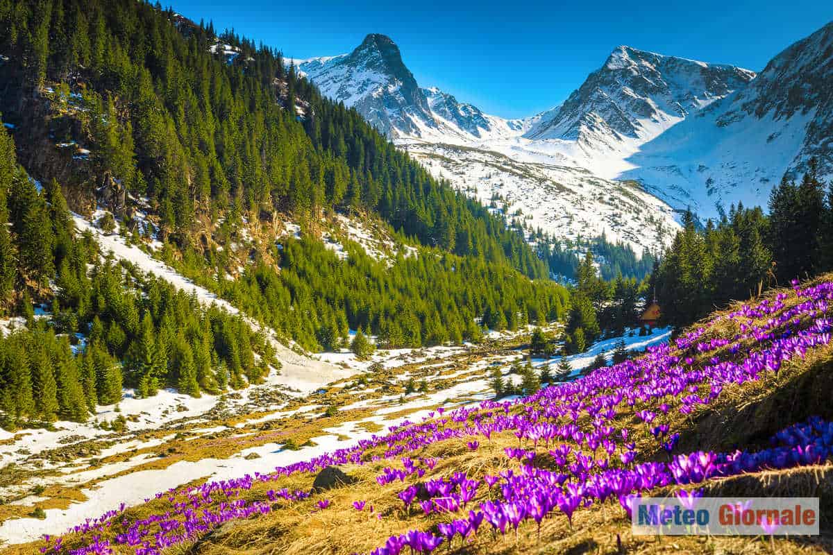 iStock 1209612357