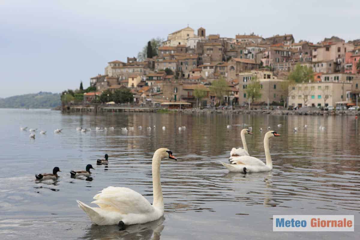 iStock 173856780