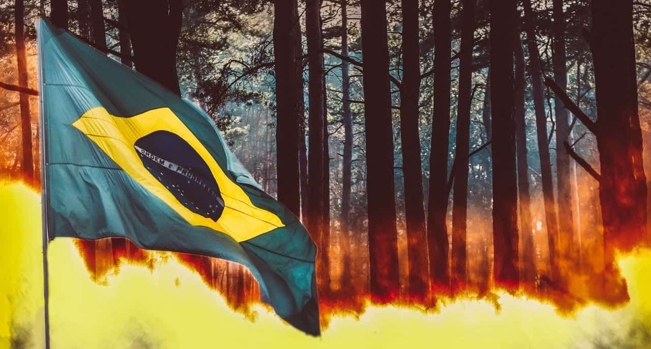 Brasile: bruciamo la Foresta Amazzonica!