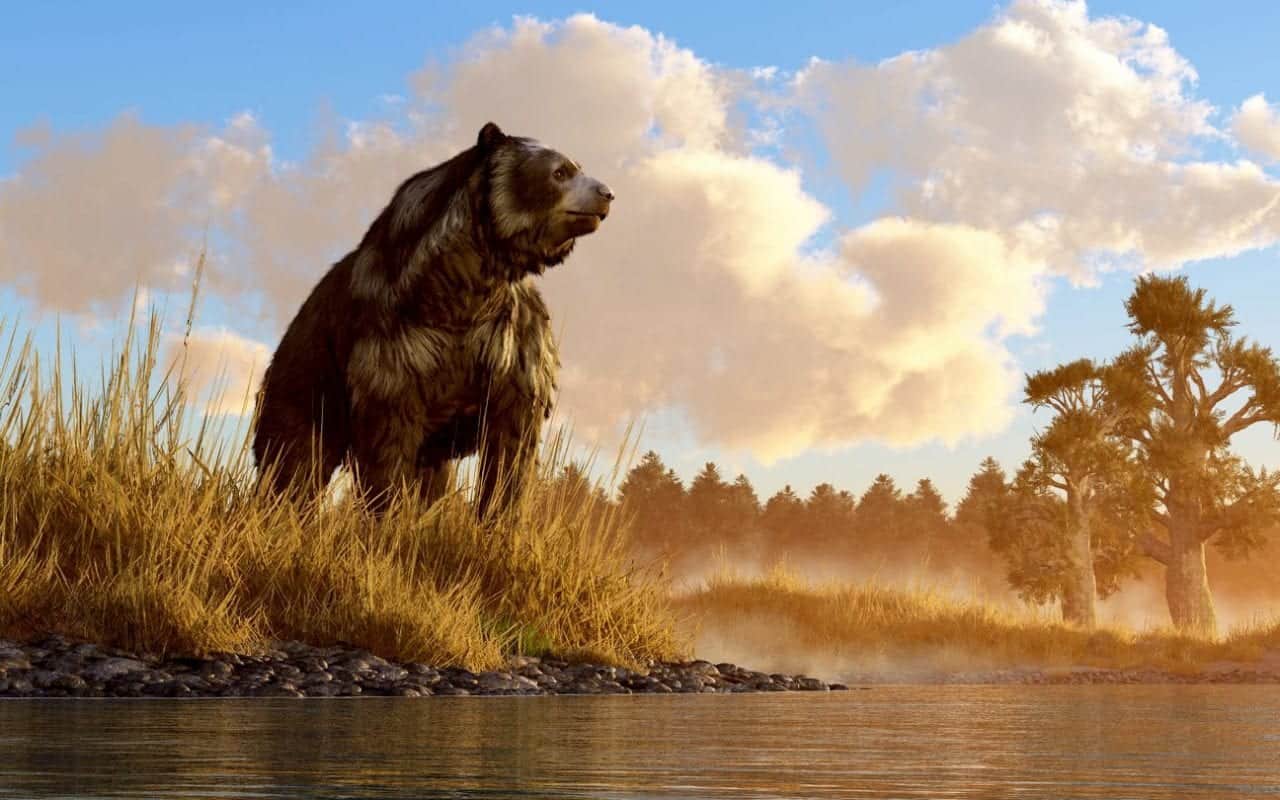 Incredibile in Siberia: trovato Orso delle Caverne dell’era glaciale
