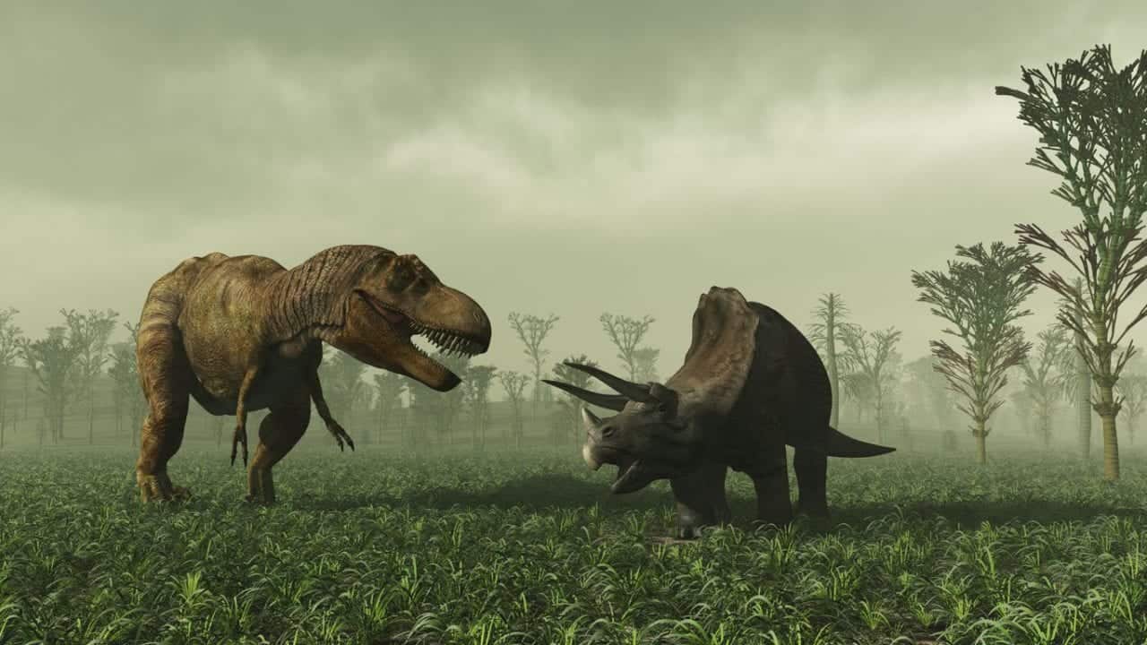 Evento Pluviale Carnico: scoperta l’estinzione di massa che diede il via al dominio dei dinosauri