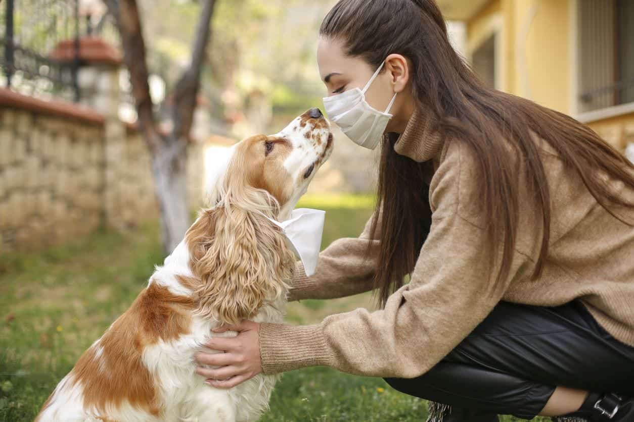 Caccia al coronavirus? All’aeroporto di Helsinki usano i cani, e funziona!