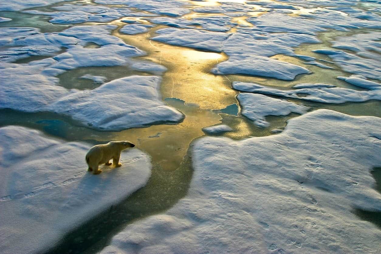 Clima, sempre peggio: termina il quinquennio più caldo di sempre