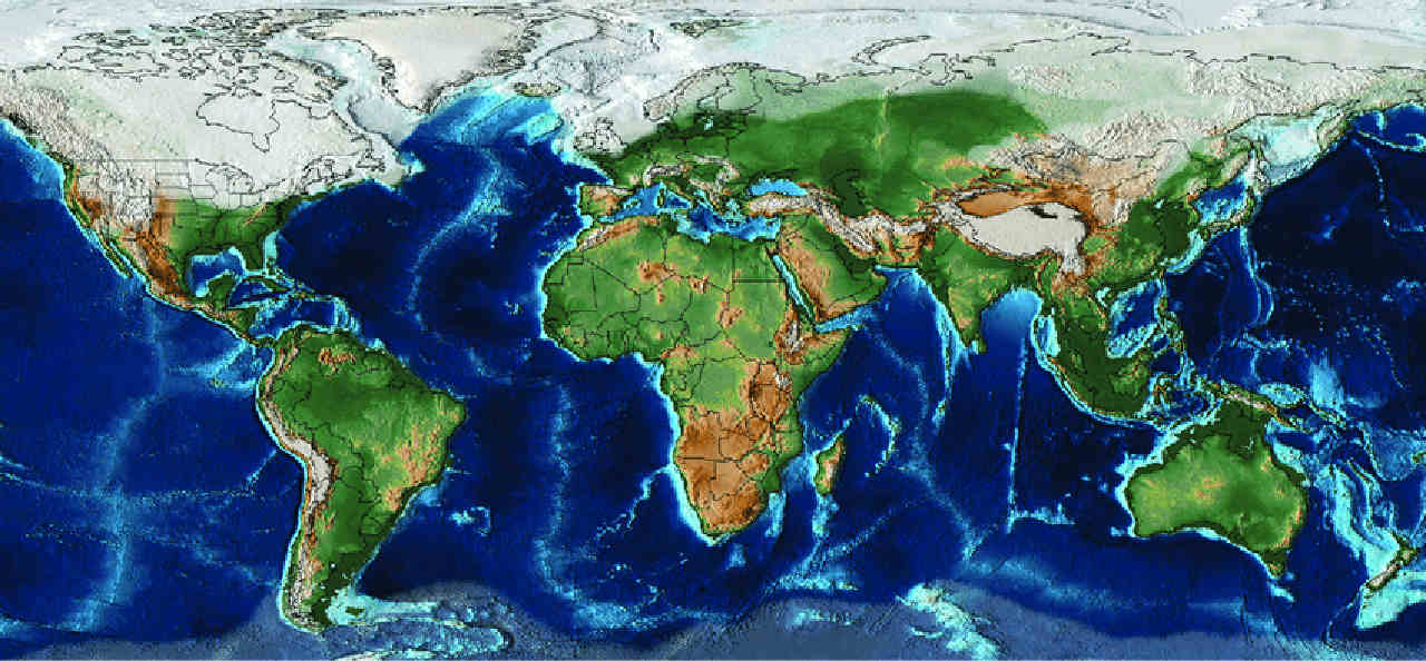 Quanto diminuirono le temperature durante l’ultima era glaciale?