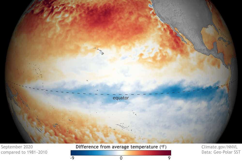 La temperatura della superficie del mare di settembre 2020 rispetto alla media 1981-2010. Immagine da  Data Snapshots  su Climate.gov.