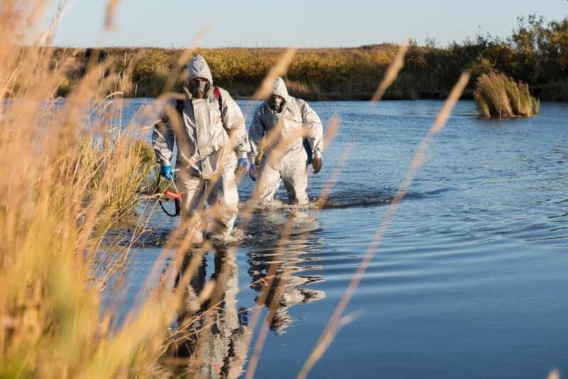 Kamchatka, ancora ignote le cause del disastro ambientale in corso