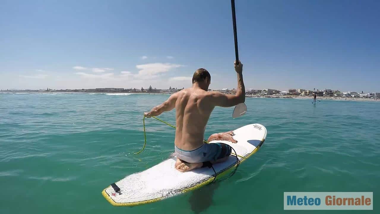 CALAMARO gigante attacca un UOMO in mare