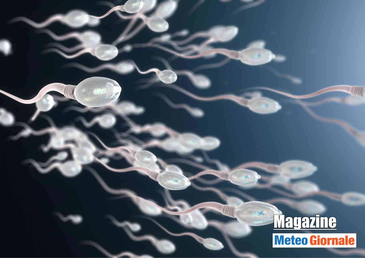 Fertilità maschile, scoperto come migliorarla