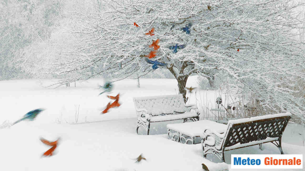 La neve si spingerà ancora a quote molto basse