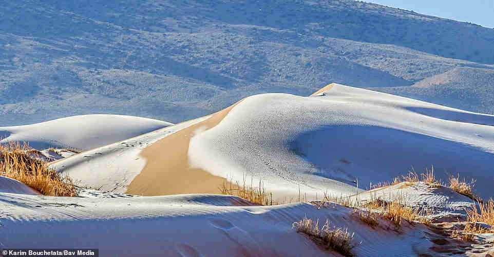 Altra immagine della neve depositata sulle dune sabbiose