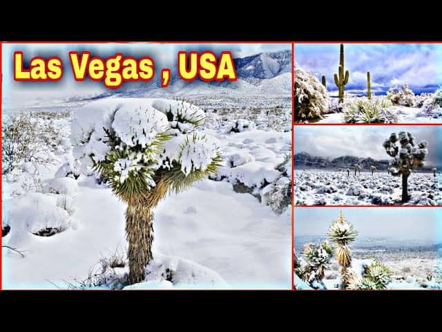 Neve anche a due passi da Las Vegas, nel deserto. Siamo nel Nord America, video meteo