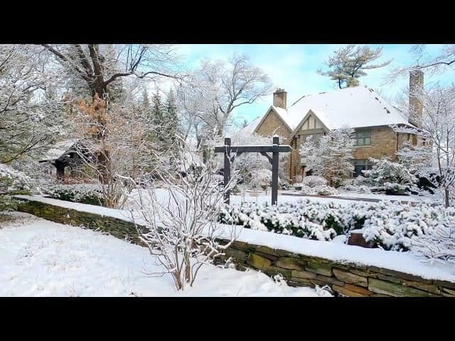 Video incantevole di una nevicata a Toronto, in Canada. Rilassanti immagini