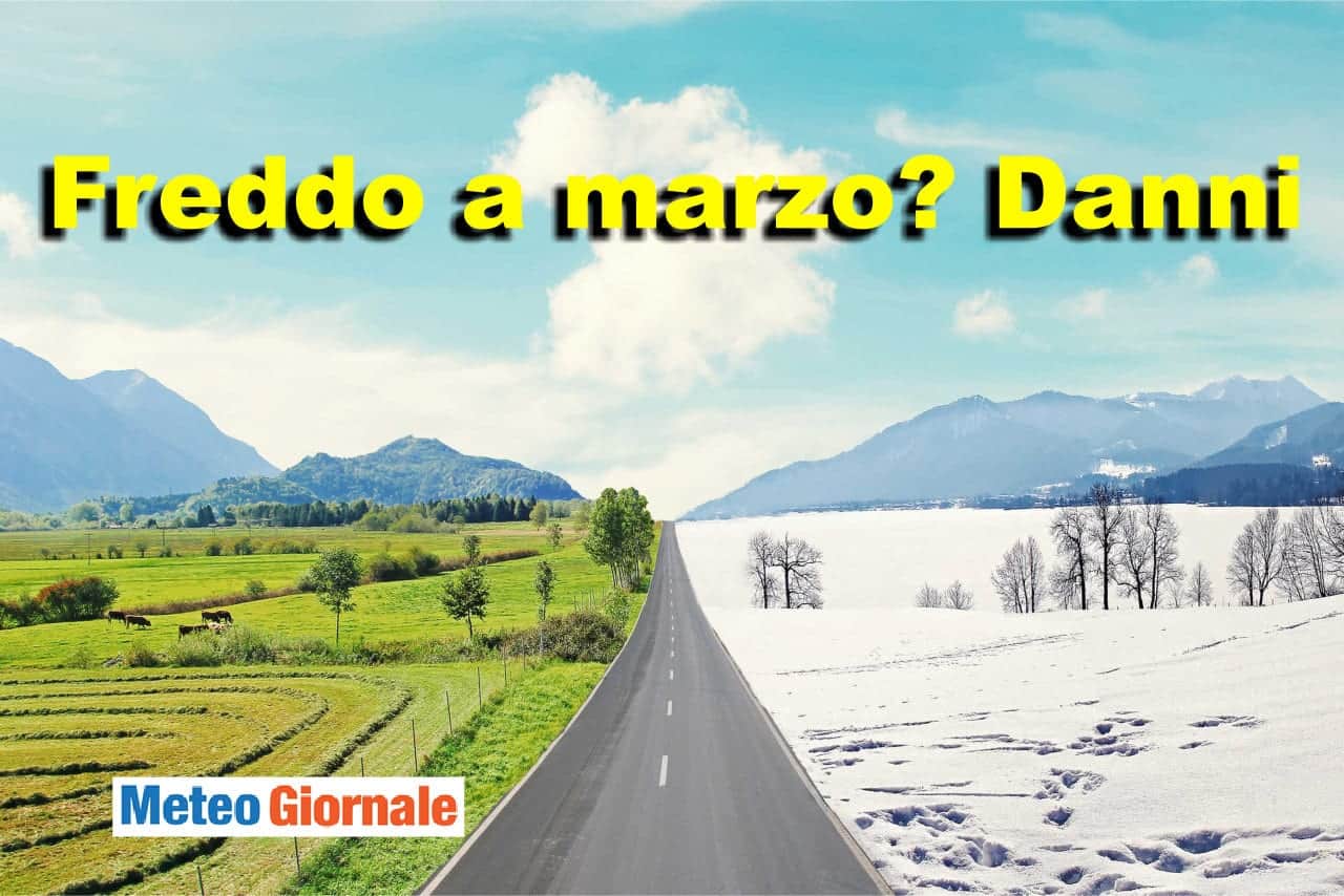 Il freddo tardivo, di marzo o aprile, può fare molti danni