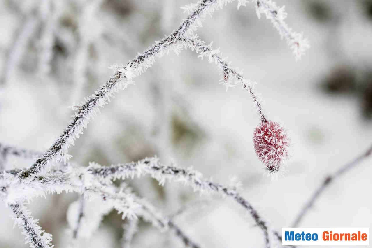 Non solo neve nel weekend d'inizio primavera, ma anche brinate tardive
