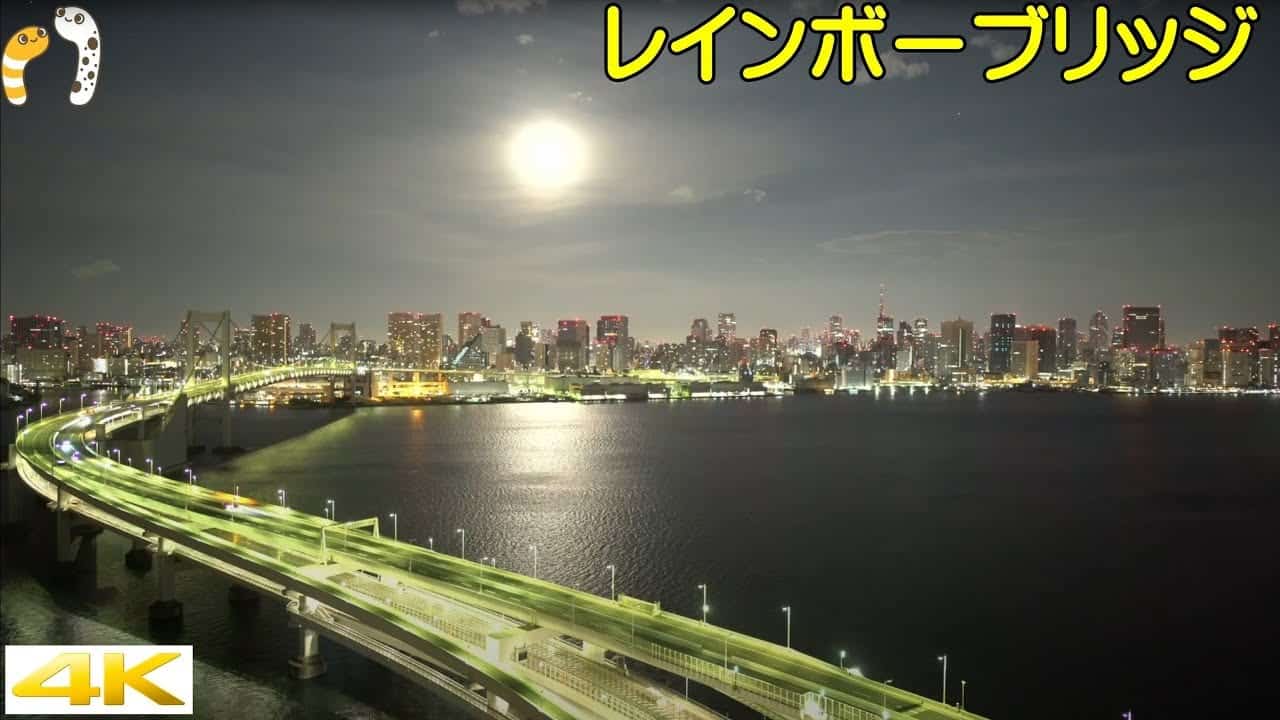 Tokyo Tower 4K live, streaming live meteorologico