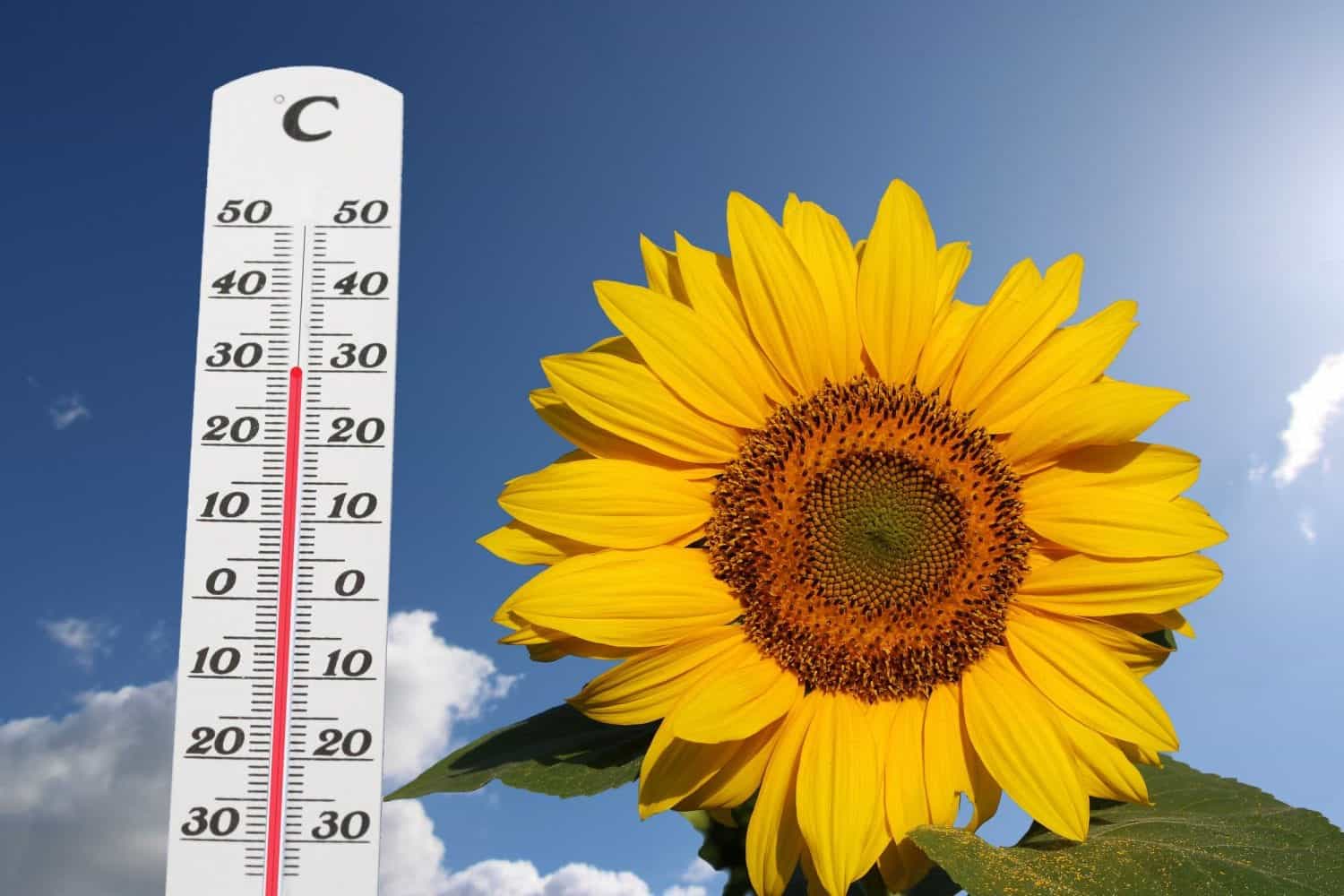 Meteo Weekend, primo episodio di caldo rovente. Le temperature previste