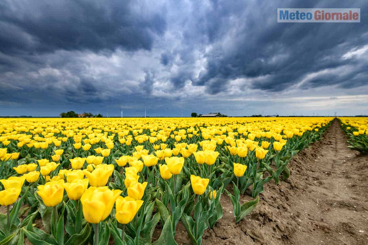 meteo primavera e18