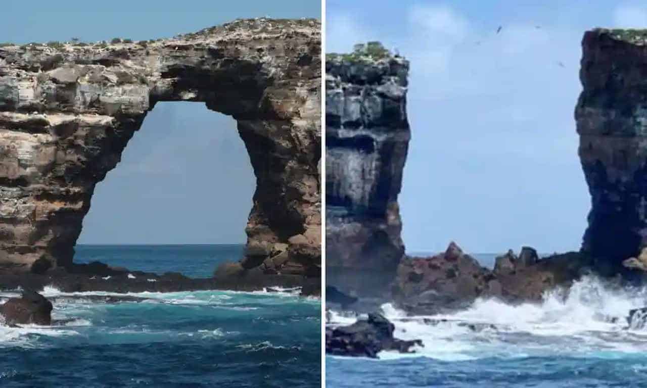 Arco di Darwin crolla nelle Isole Galapagos. Immediato intervento Di Caprio