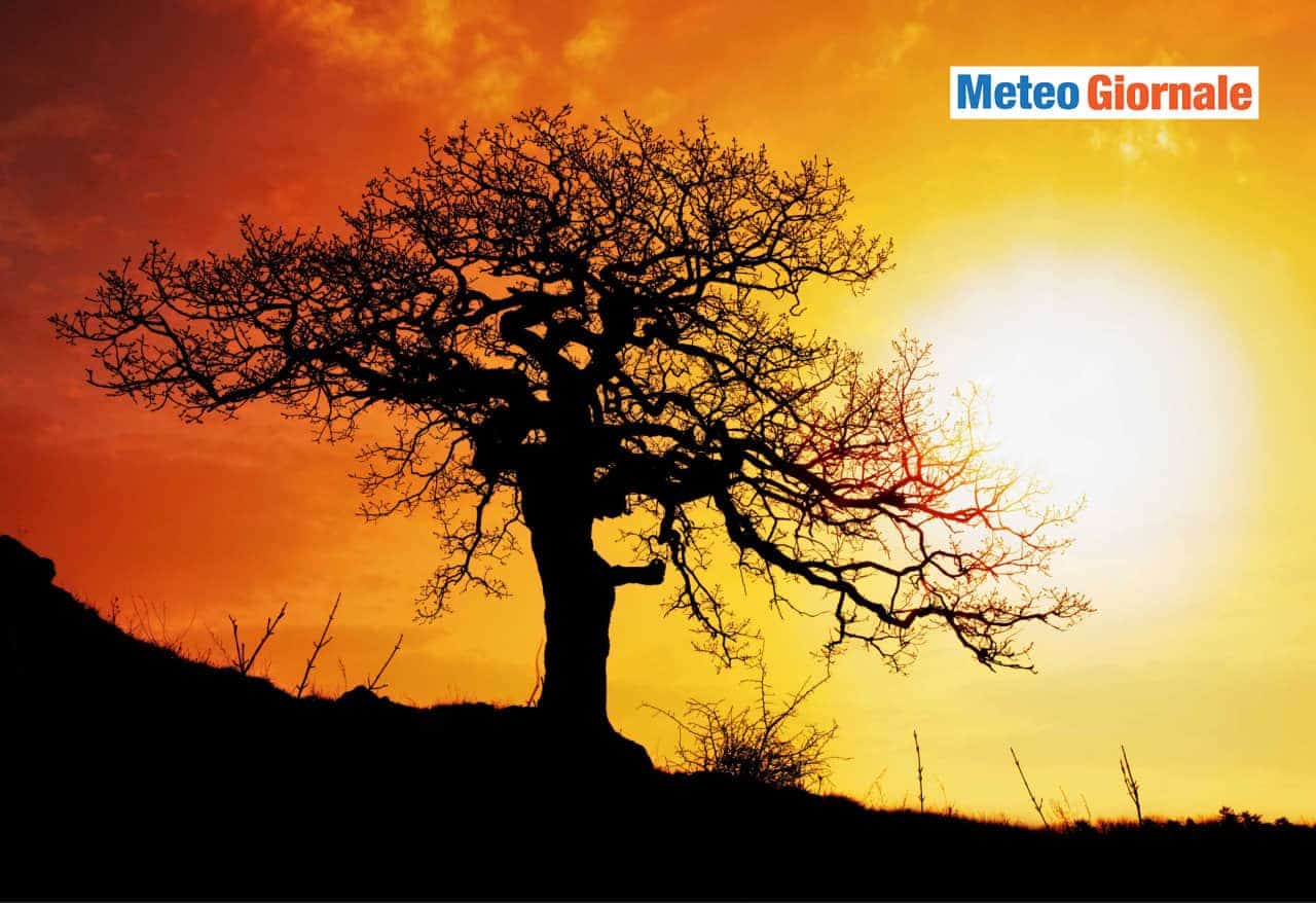 Meteo Italia al 14 giugno: ANTICICLONE, ecco l’Estate