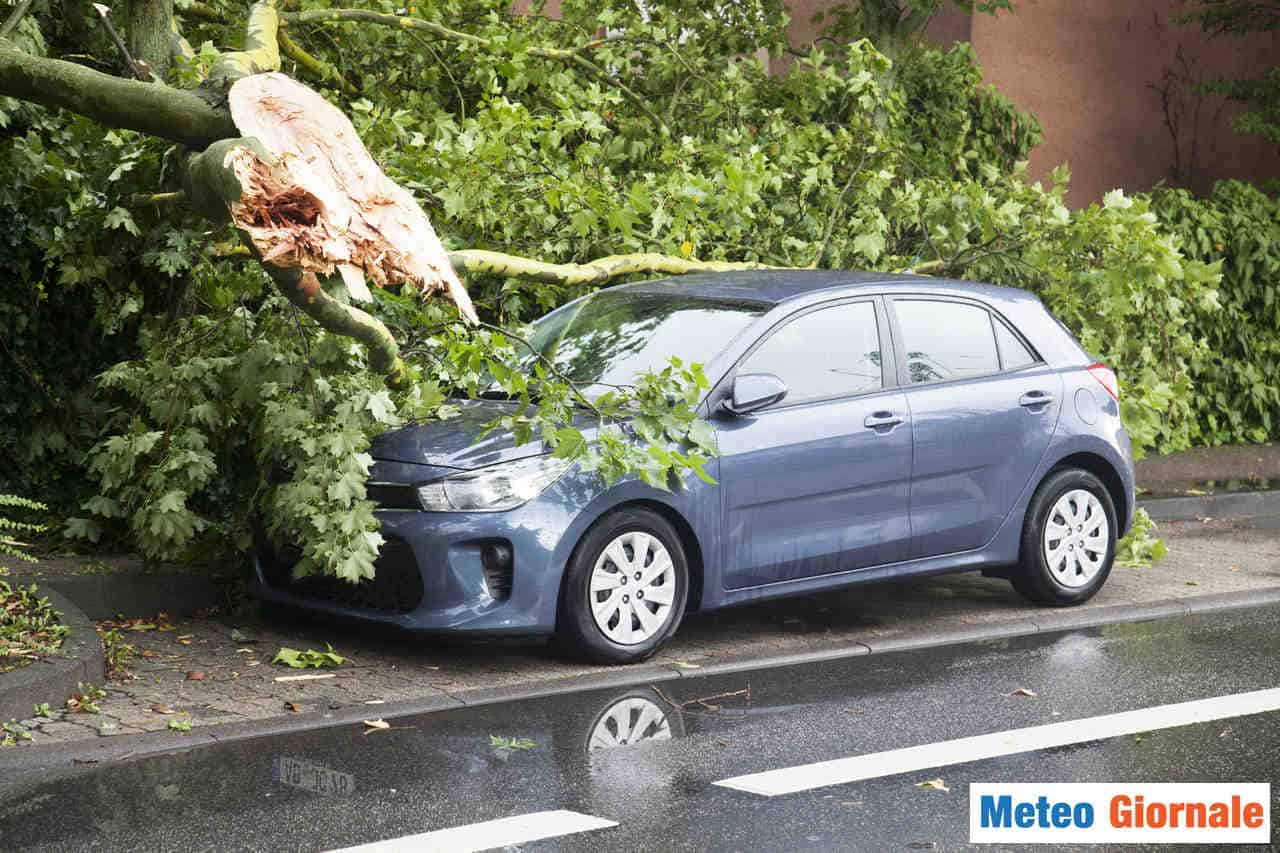 Meteo estivo caldo, con temporali generalmente molto intensi.