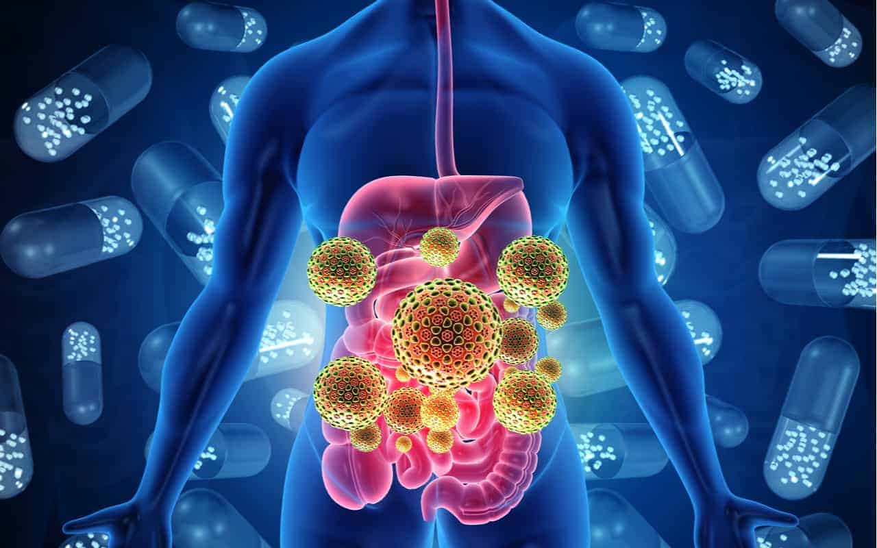 Scoperti nuovi 140 mila virus nell’intestino umano