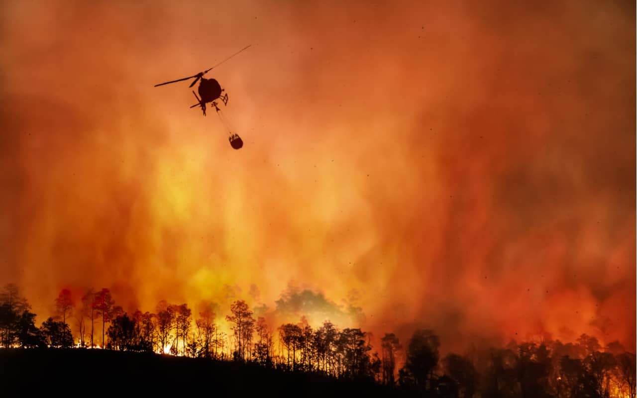 caldo e incendi
