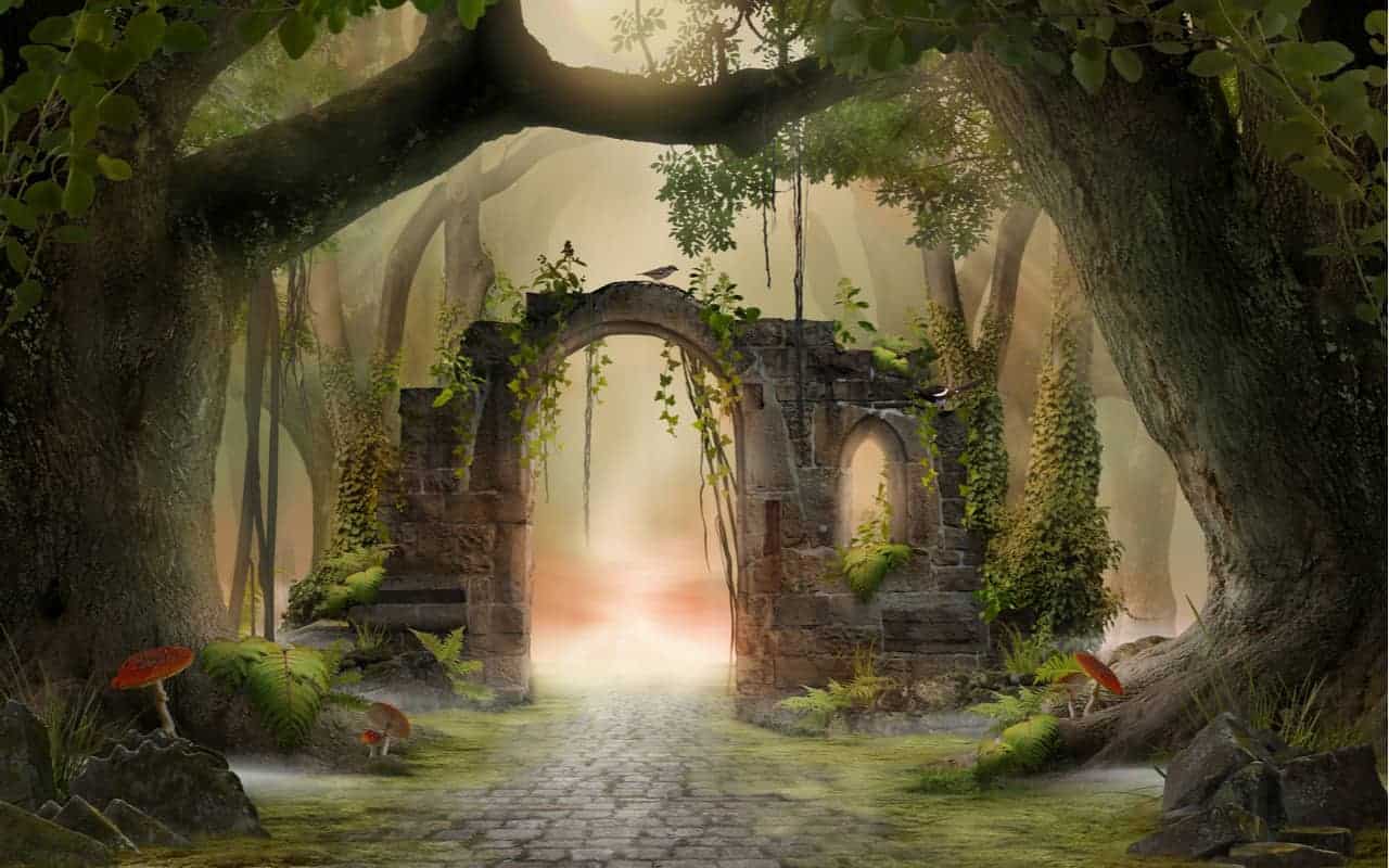 Preoccupazione per il dilagare delle Foreste Fantasma