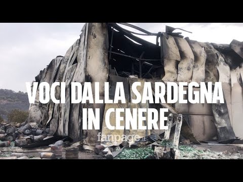 Incendi in Sardegna, una devastazione irreparabile. Video dei danni