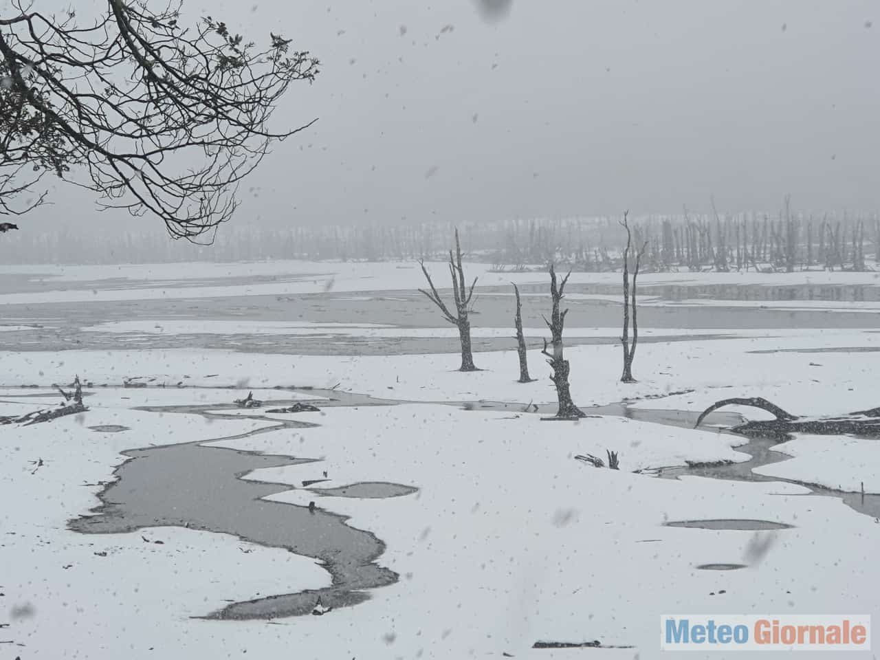Magia invernale australe. Meteo con neve fin quasi in pianura in Tasmania