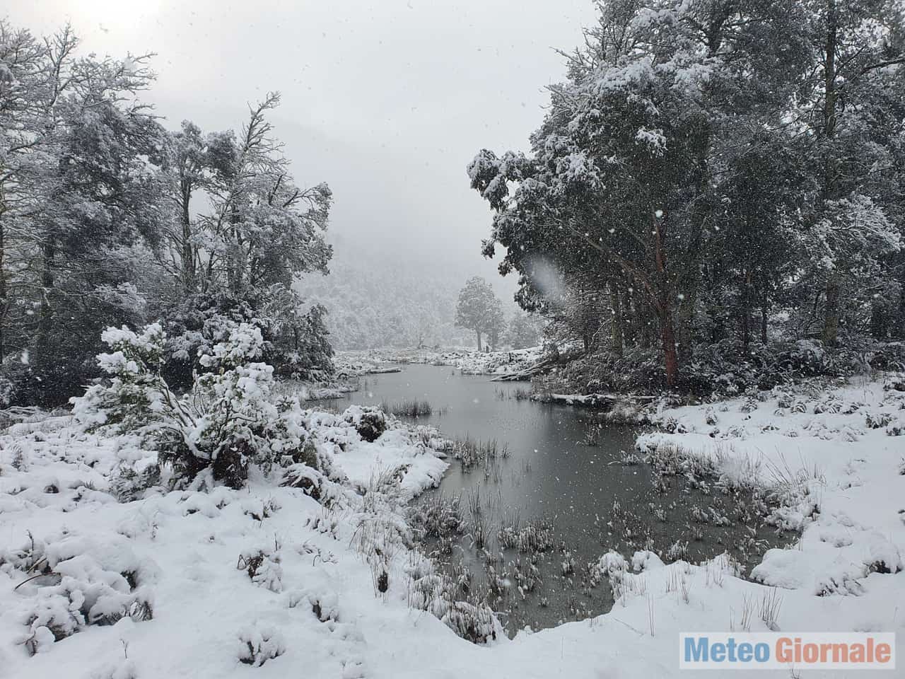 tasmania4