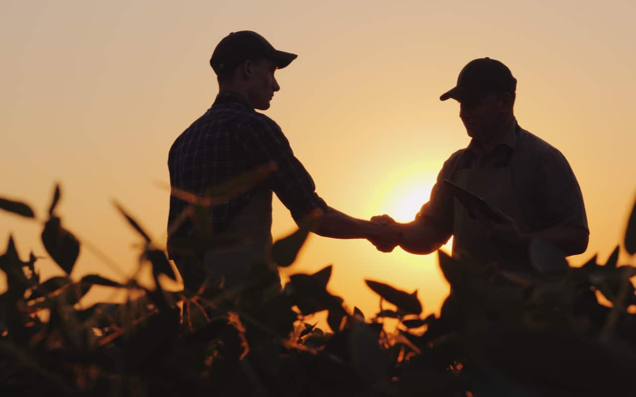 ITALIA, meteo caldissimo: agricoltura, nuovi danni anche ingenti