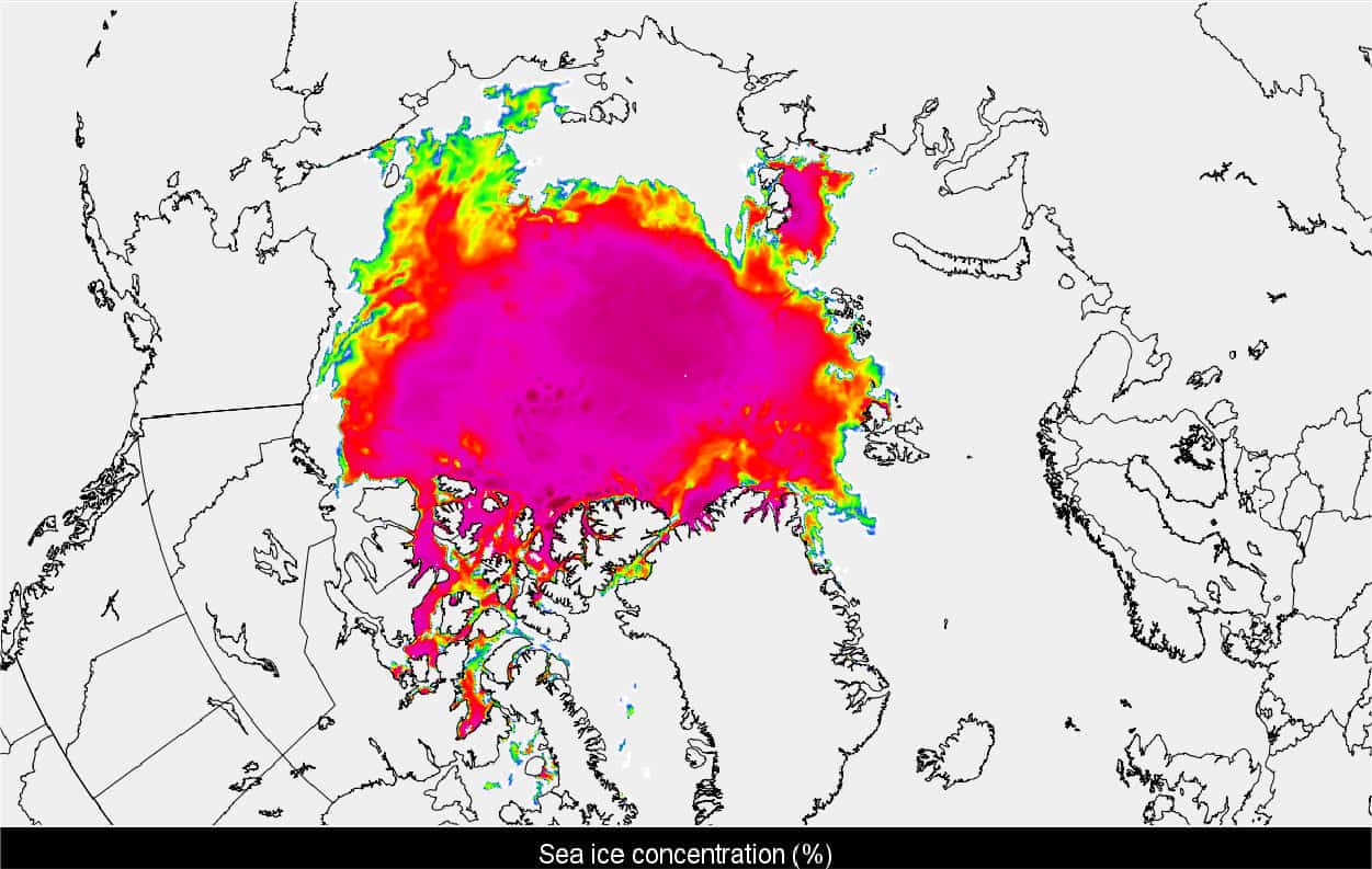 Artico senza GHIACCIO in Siberia occidentale: ripercussioni meteo