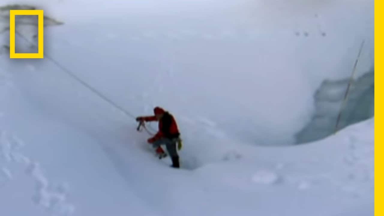 Ecco il video dei Vermi del ghiaccio del Parco Nazionale di Denali