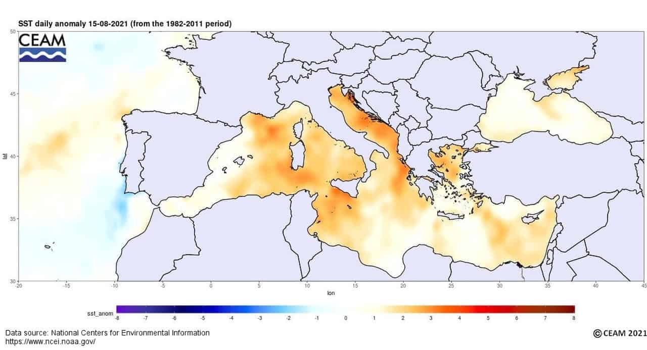 I mari sull'Italia sono più caldi del normale