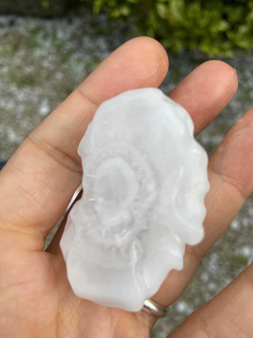 photo 2021 08 01 07 27 06